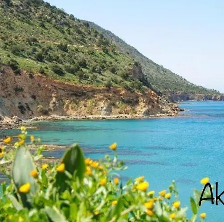 Phidias Homes 1 Πέγεια